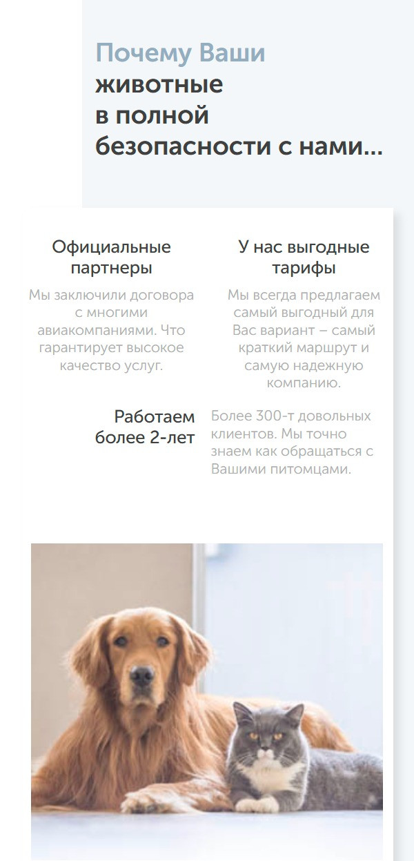 Клієнт перевозить вантажі, машини та тварин по всьому світу. Запуск реклами B2B та B2C.